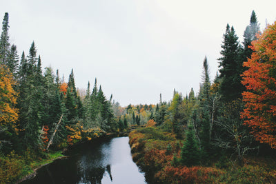 Fall Shirts We Love: Sustainable Styles for Men